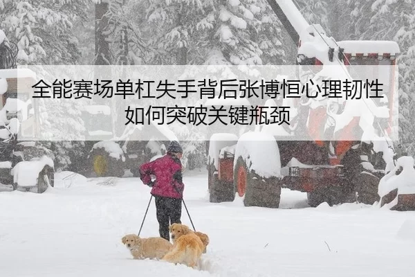 全能赛场单杠失手背后张博恒心理韧性如何突破关键瓶颈